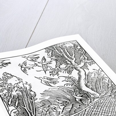 Of ouer open takynges of counsell by (after) German School