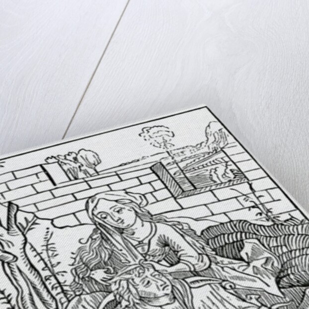 Of folys that can nat kepe secrete theyr owne counsell by (after) German School