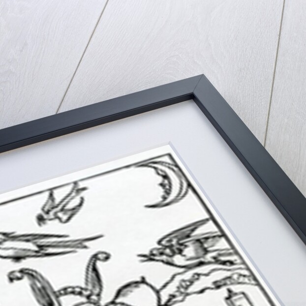 Of the vayne cure of Astronomy by (after) German School