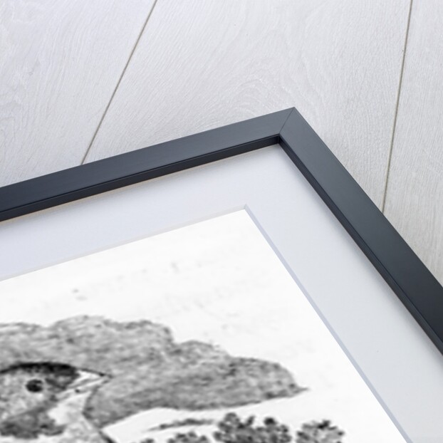 Tawny Bunting by Thomas Bewick