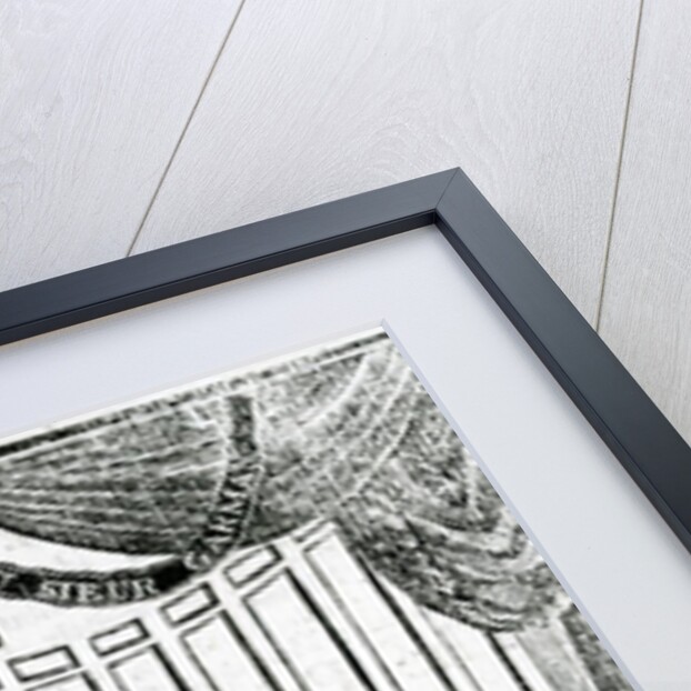 Handbill advertising a performance of the 'Suprizing Learned PIG' at Astley's Amphitheatre, 1787 by Anonymous