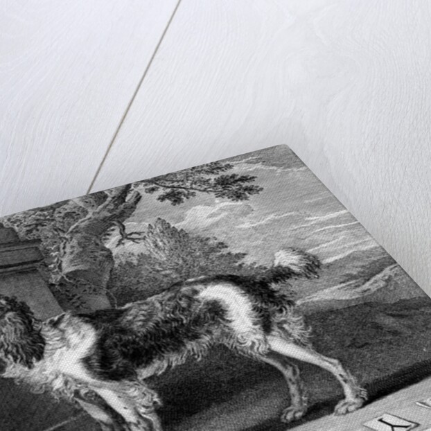 The New Chien Savant, or Learned Dog, print made by F-Morellon la Cave, 1752 by Sutton (after) Nicholls