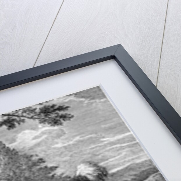 The New Chien Savant, or Learned Dog, print made by F-Morellon la Cave, 1752 by Sutton (after) Nicholls