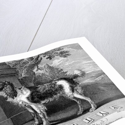 The New Chien Savant, or Learned Dog, print made by F-Morellon la Cave, 1752 by Sutton (after) Nicholls
