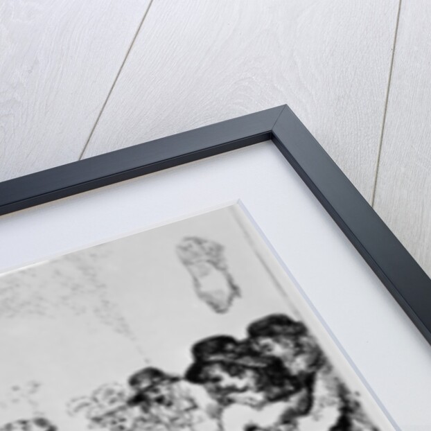 The Wonderful Pig, 1785 by Thomas Rowlandson