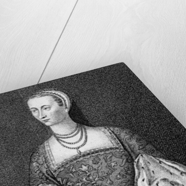 Mary of Guise by English School
