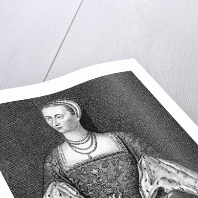 Mary of Guise by English School