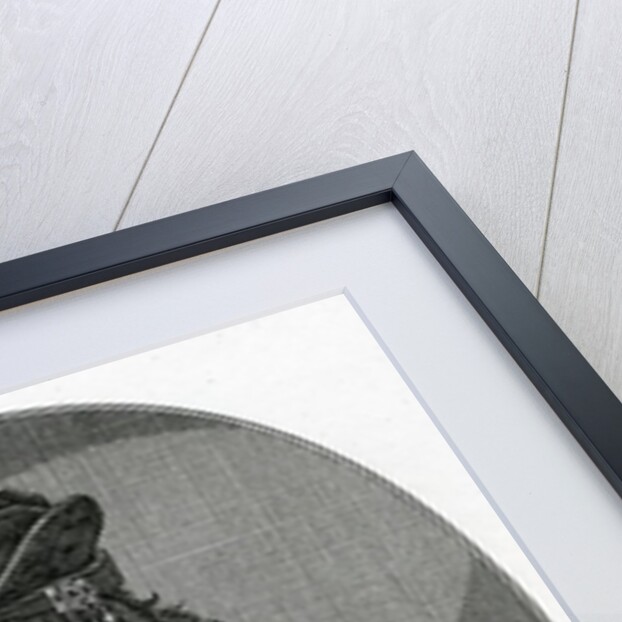 James III of Scotland by Scottish School