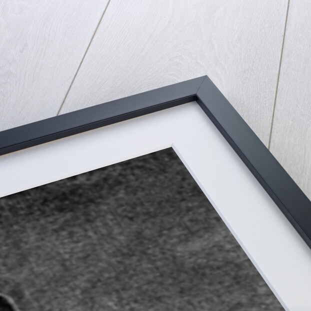 Lady Douglas by English School