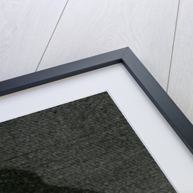 George Jamesone, 1795 by George Jamesone