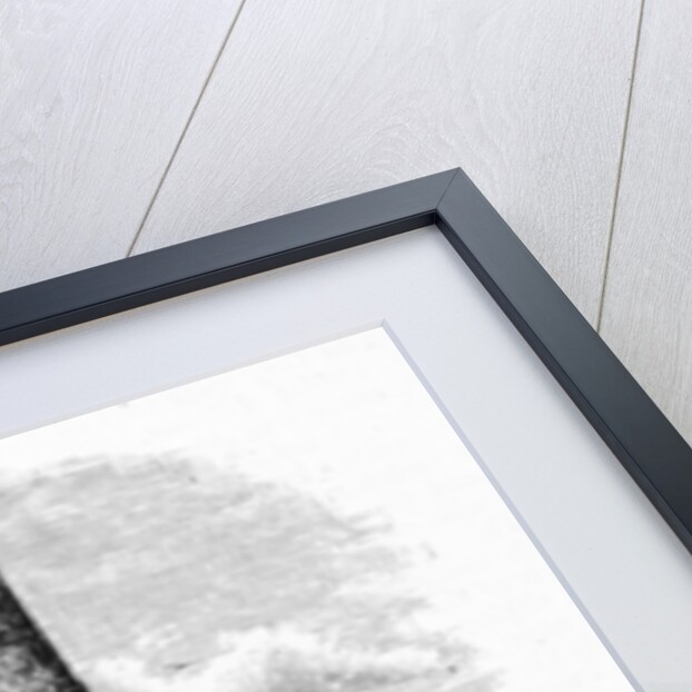Round Tower and Ruins of St Declan's Church at Ardmore, c.1888 by English School