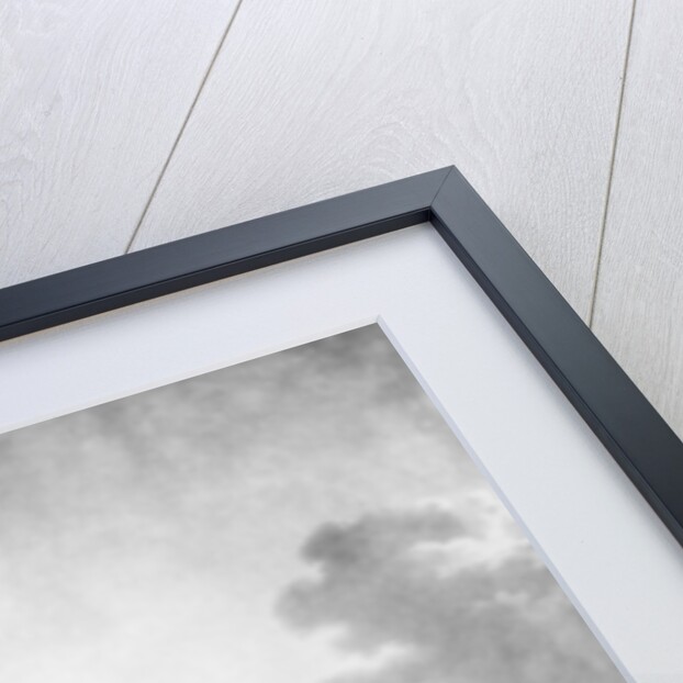 The City of Cork, 1799 by Irish School