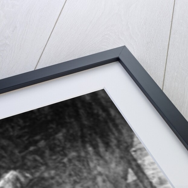 View of the Heliocaminus at Hadrian's Villa, Tivoli by Giovanni Battista Piranesi