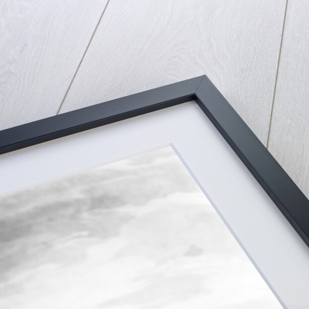 View of the Remains of Caracalla's Baths, taken from the Jesuit's Garden, Rome, c.1778 by Richard Cooper