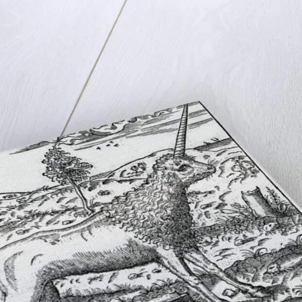 a Campchurch Unicorn by French School