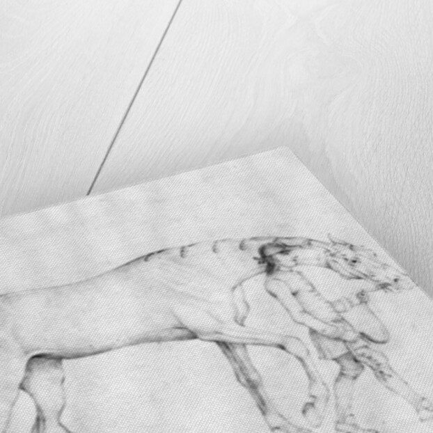 Horse and Grooms, 1754 by Thomas Spencer