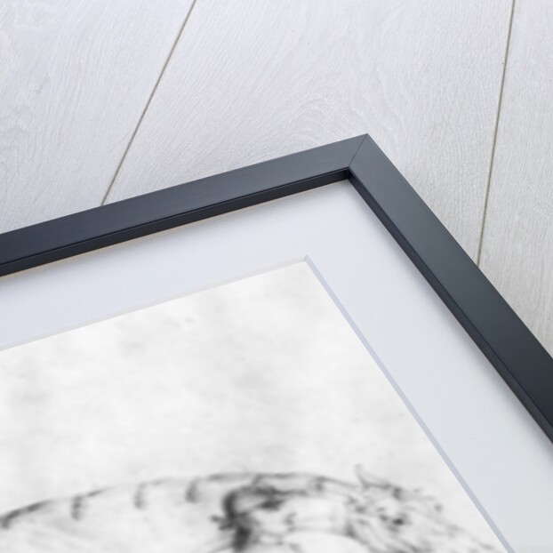 Horse and Grooms, 1754 by Thomas Spencer