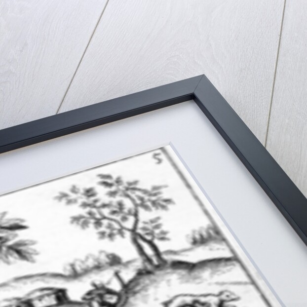 Simi Vulpa, Haute and Armadilio by English School