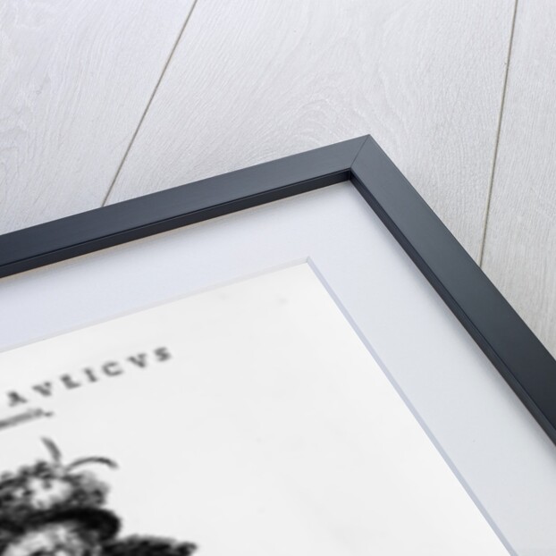 A Nobleman from Misnia & Saxonia by Hans Weigel