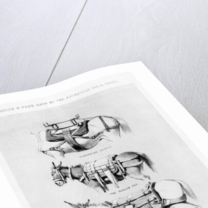 Saddles and Pads Used by the Abyssinian Field Force by Henry James