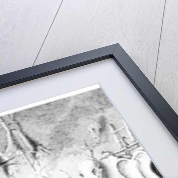 Behold a Quack Physicians Hall... by Egbert van (c.1676-1744) (after) Heemskerck