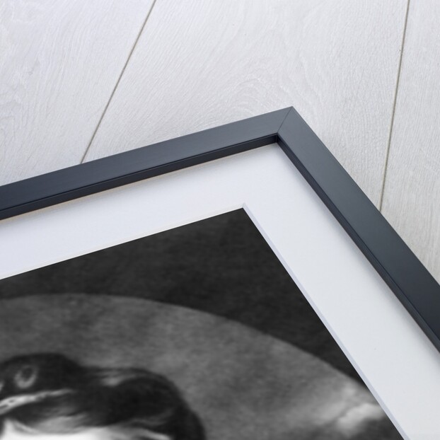 Susanna Taylor by Joshua Reynolds