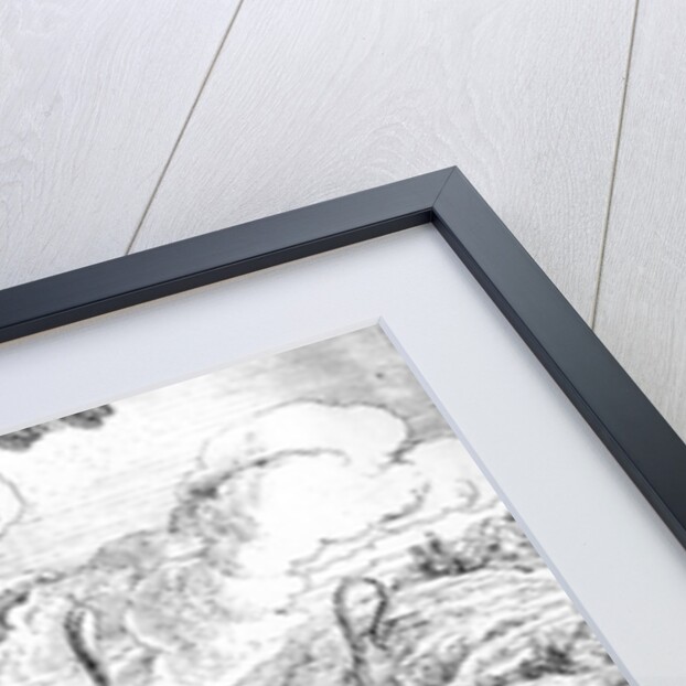 The Wolf in Sheep's Clothing, 1687 by Francis Barlow