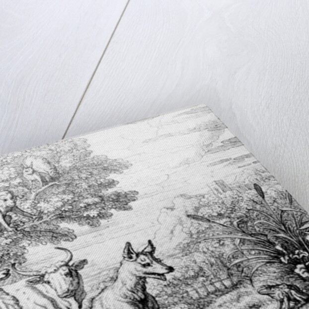 The Ambitious Frog by Francis Barlow