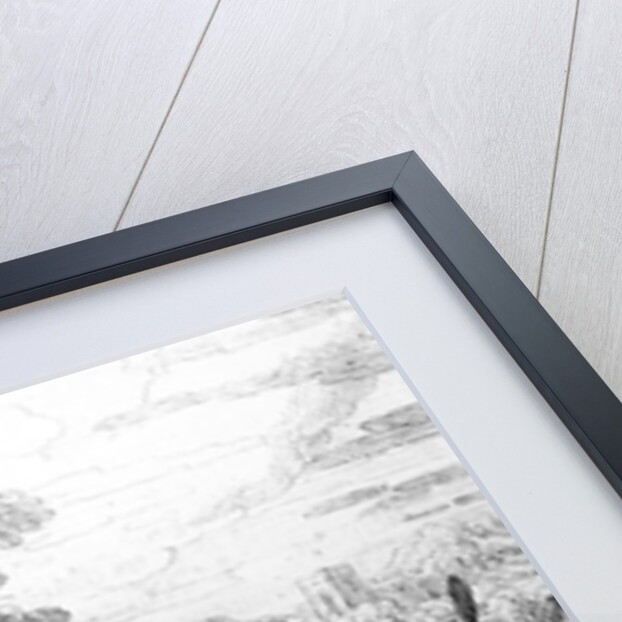 The Ambitious Frog by Francis Barlow