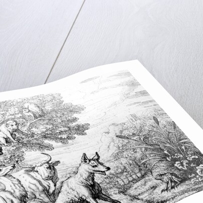 The Ambitious Frog by Francis Barlow