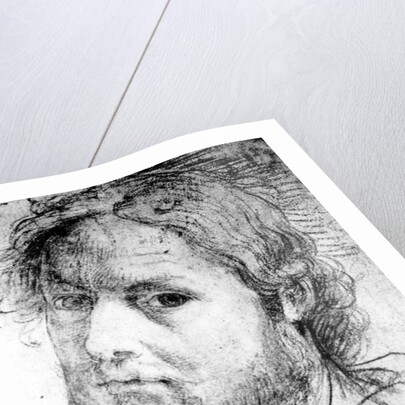 Self-Portrait, c.1510 by Jacopo Palma