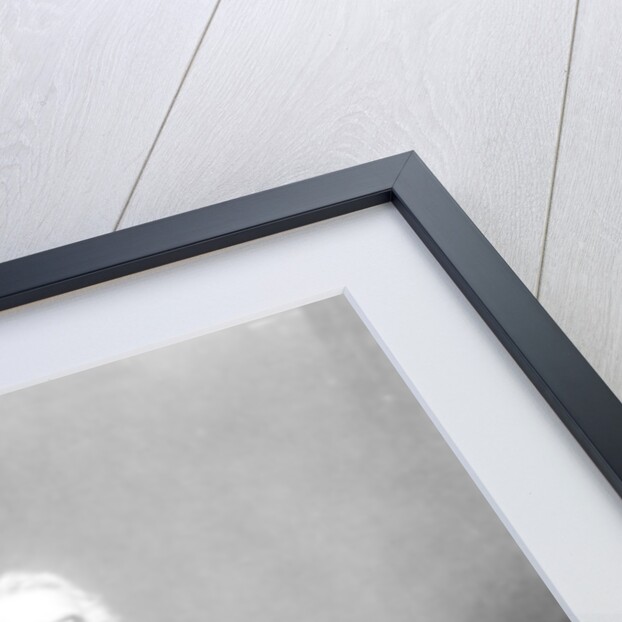 Thomas Chalmers by John Faed