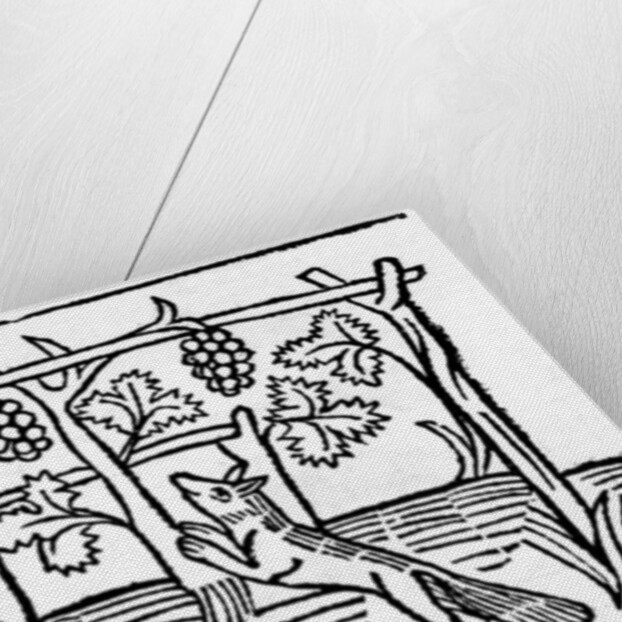 The Fox and the Raisins by English School