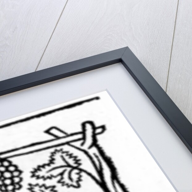 The Fox and the Raisins by English School