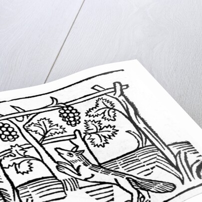 The Fox and the Raisins by English School