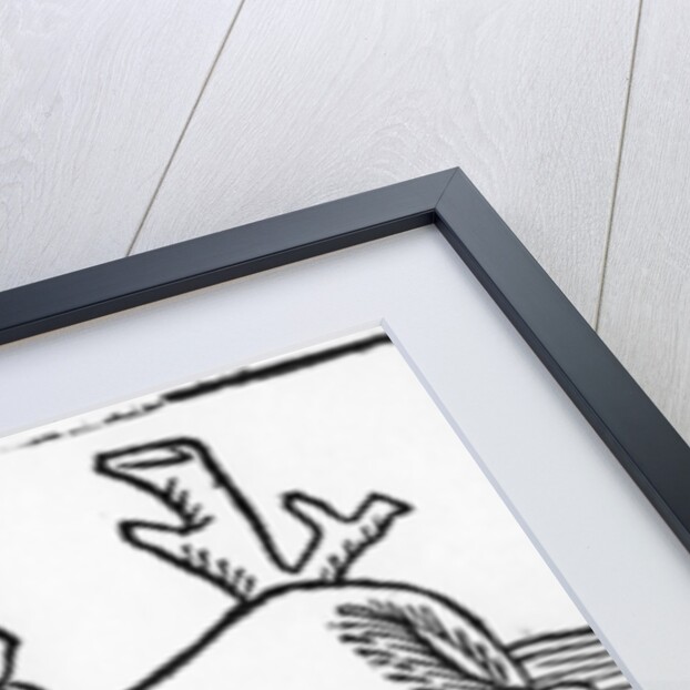 The Lion and the Ass by English School