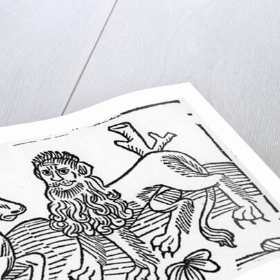 The Lion and the Ass by English School