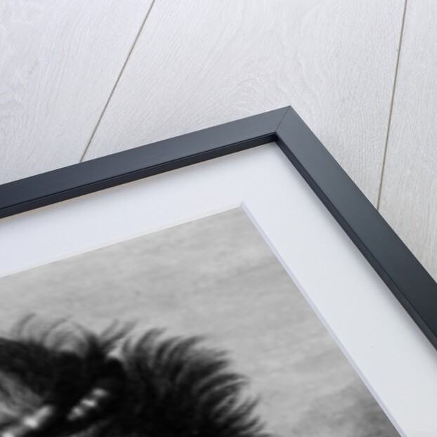 A Young Woman of the Sandwich Islands by John Webber