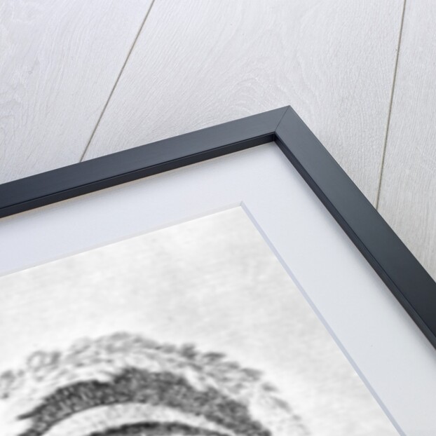 Portrait of Kaneena, a Chief of the Sandwich Islands in the North Pacific Ocean by John Webber