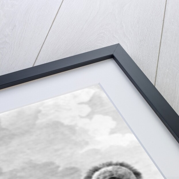 A Man of the Sandwich Islands Dancing by John Webber