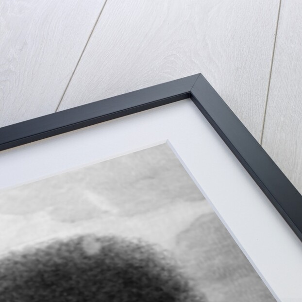 Otoo, King of O-taheite by William (after) Hodges