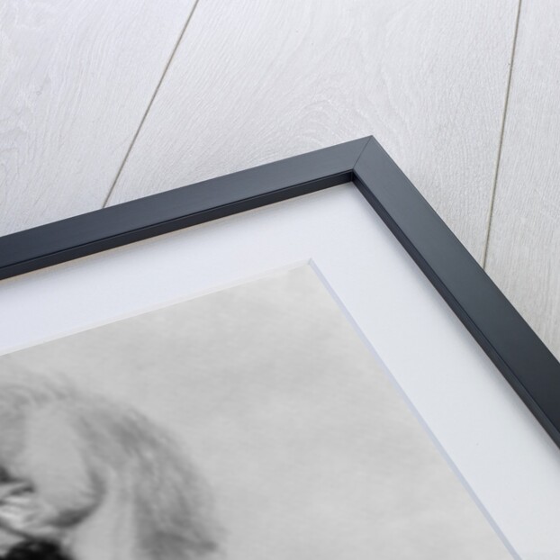 Tamehamalu, Her Majesty the Queen of the Sandwich Islands, 1824 by John (after) Hayter