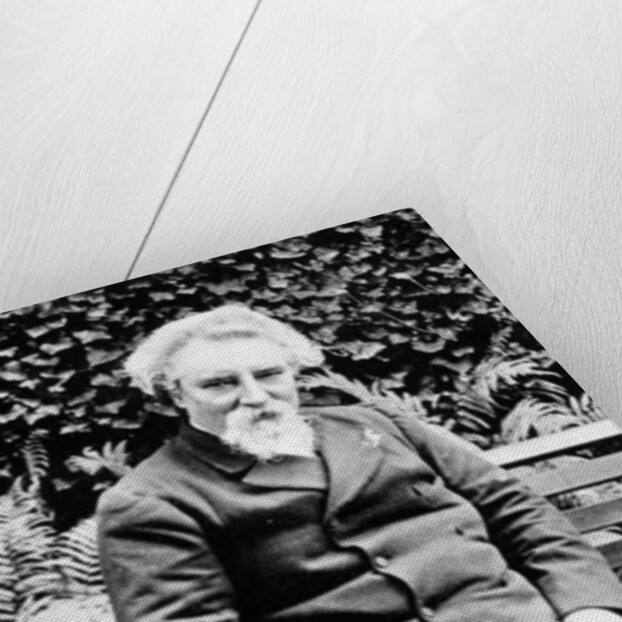 Rev James Chalmers, 1895 by English Photographer