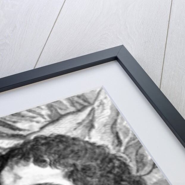 The Water-Spouter, Blaise de Manfre by Wenceslaus Hollar