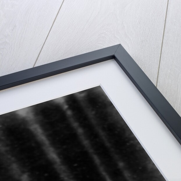 Princess Charlotte of Prussia, 1860 by John Jabez Edwin Paisley Mayall