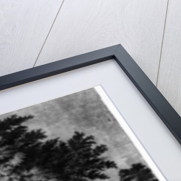 View of the Synagogues for German Jews in Amsterdam, 1801 by Dutch School