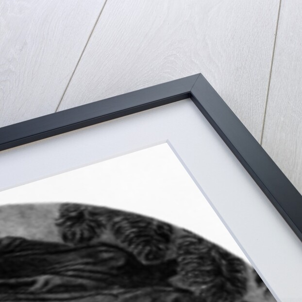 Henrietta Ponsonby, Countess of Bessborough, early C19th by English School