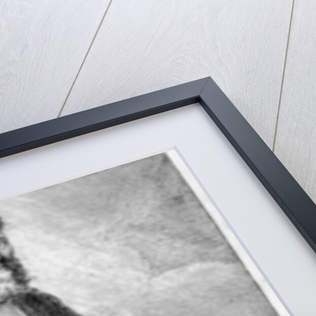 Ancora imparo by Michelangelo (after) Buonarroti