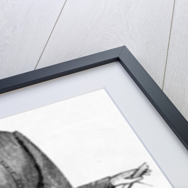 Ladies' Bicycling Habit, c.1880-1900 by English School