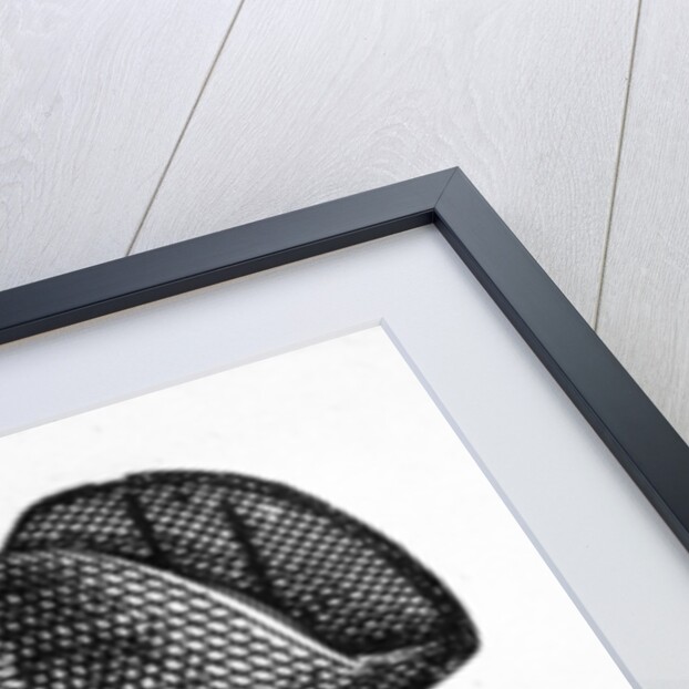 Price the Swindler by English School